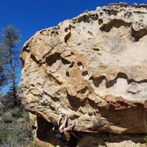 Meet your Posher, Jeff